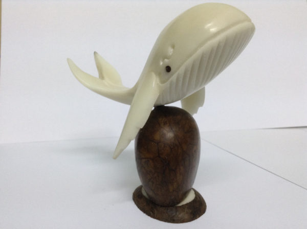 Ballena Jorobada (Artesanía en Tagua)